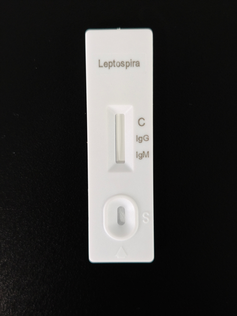 Leptospira IgG/IgM Rapid Test