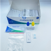 Gonorrhea Rapid Test (Swab)