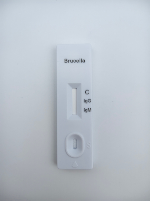 Brucella IgG/IgM Antibody Rapid Test (Whole Blood/Serum/Plasma)